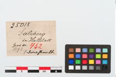 Etiketten zu Bronzespiralröhrchen (NHMW-PRAE-025018)